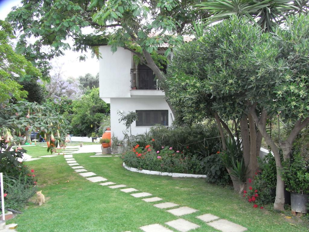 Villa Yiannis (Adults Only) Megali Ammos  Exteriér fotografie
