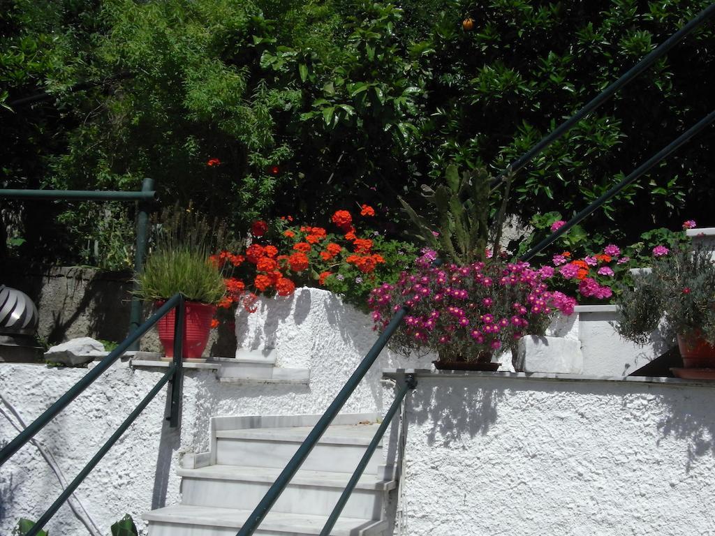 Villa Yiannis (Adults Only) Megali Ammos  Exteriér fotografie
