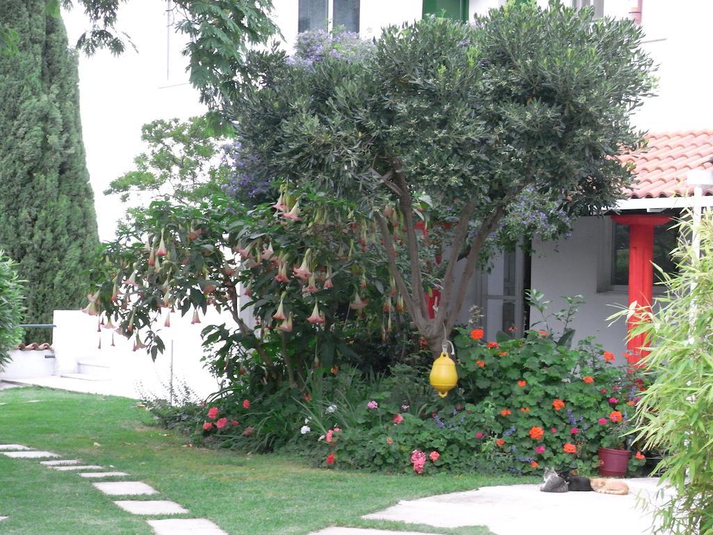Villa Yiannis (Adults Only) Megali Ammos  Exteriér fotografie